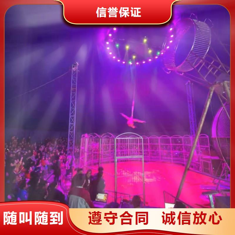 【马戏团/羊驼 海狮表演租赁2025公司】