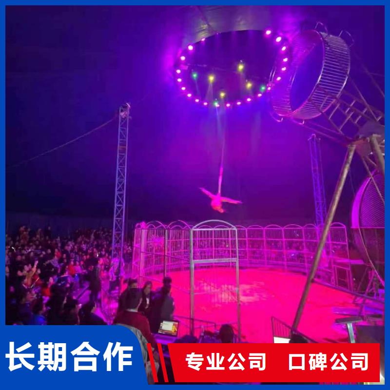 马戏团/羊驼-【马戏团表演出租租赁】先进的技术