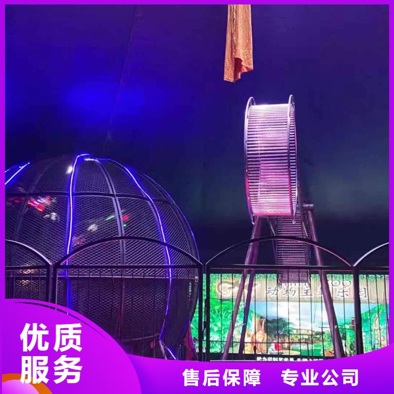 马戏团/羊驼马戏团表演出租品质优