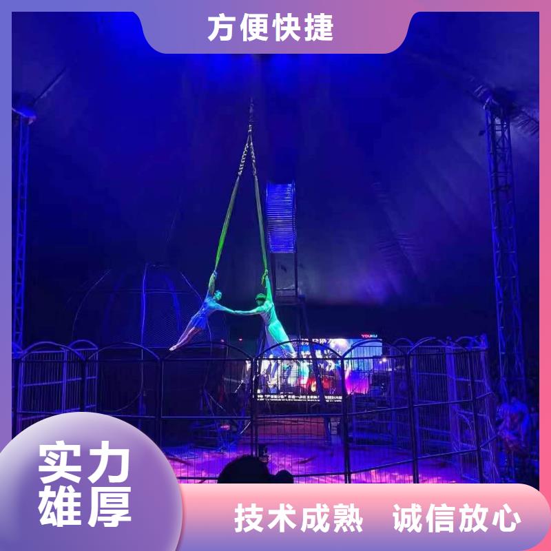馬戲團/羊駝-企鵝出租專業承接