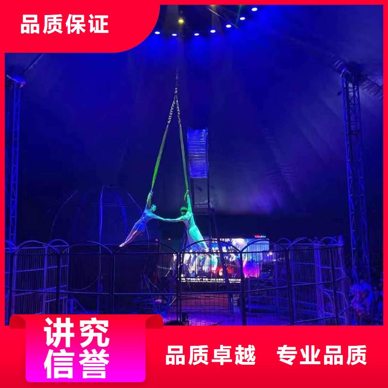 馬戲團/羊駝,【動物雜技表演租賃】正規團隊