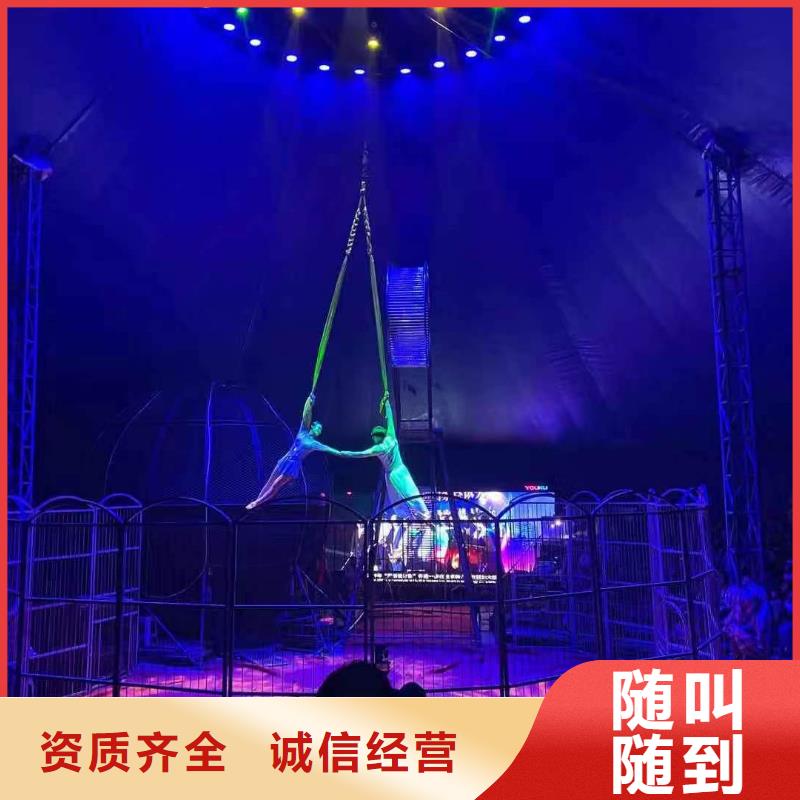 馬戲團/羊駝-海獅表演出租解決方案