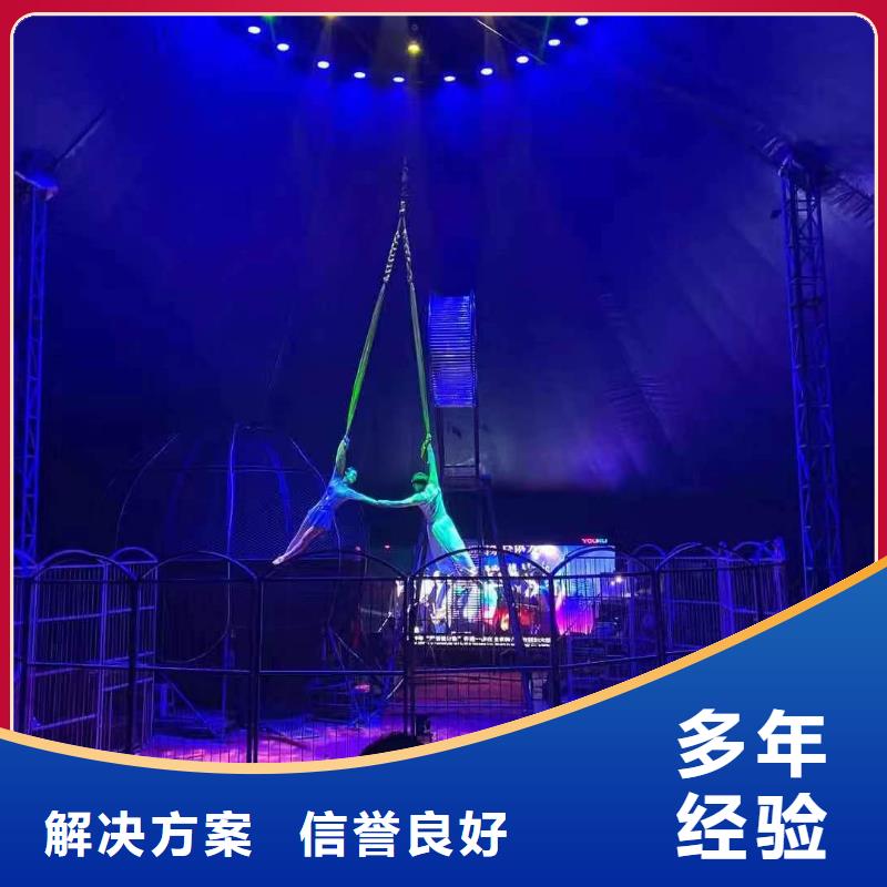 馬戲團/羊駝動物表演租賃實力強有保證