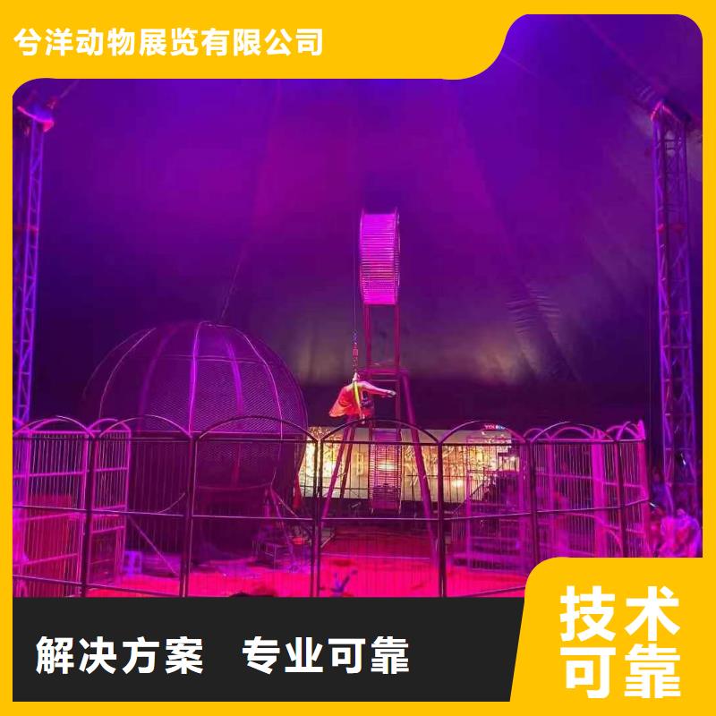 租賃馬戲團表演節日活動
