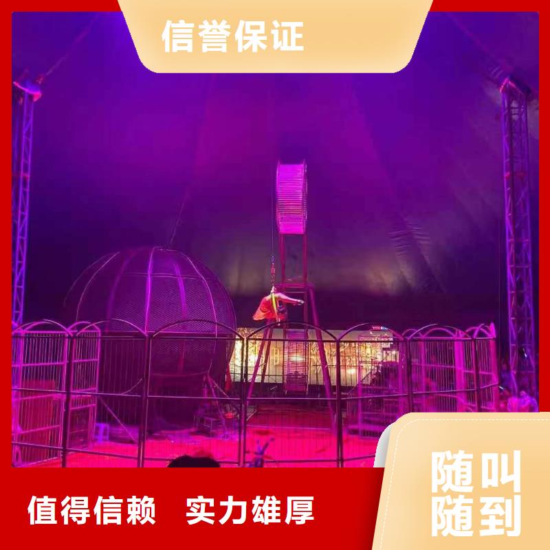【馬戲團/羊駝_【海獅表演租賃】多年經驗】
