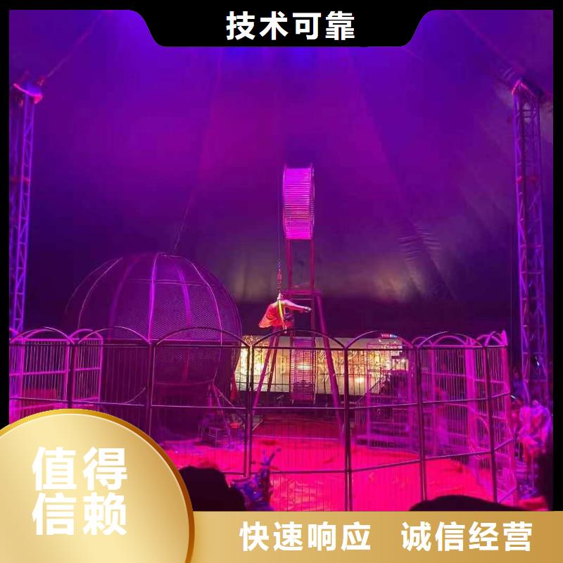 馬戲團/羊駝 動物表演租賃誠實守信