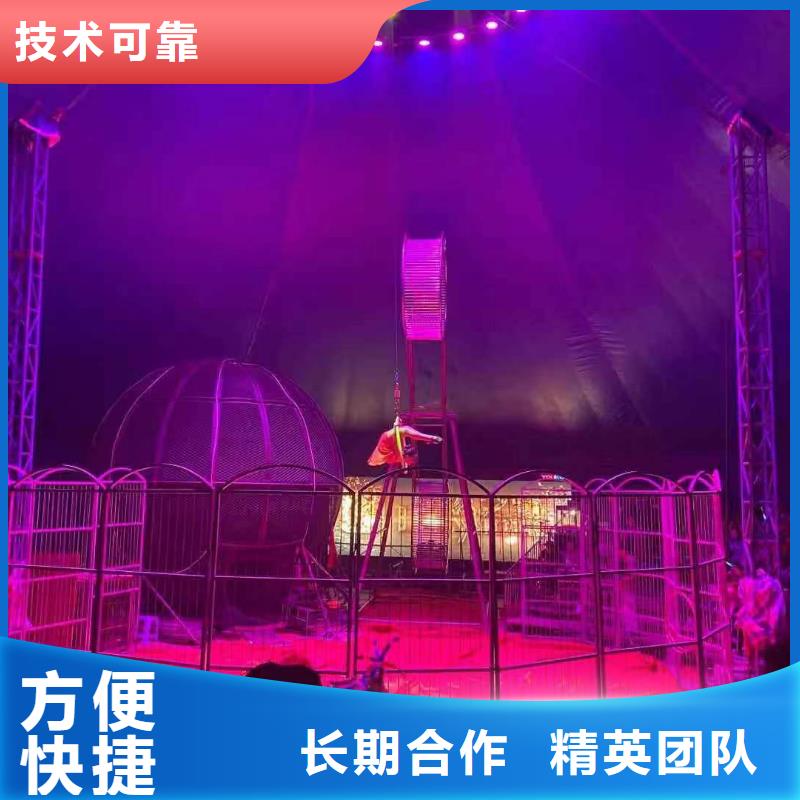 馬戲團(tuán)/羊駝,海洋展租賃售后保障