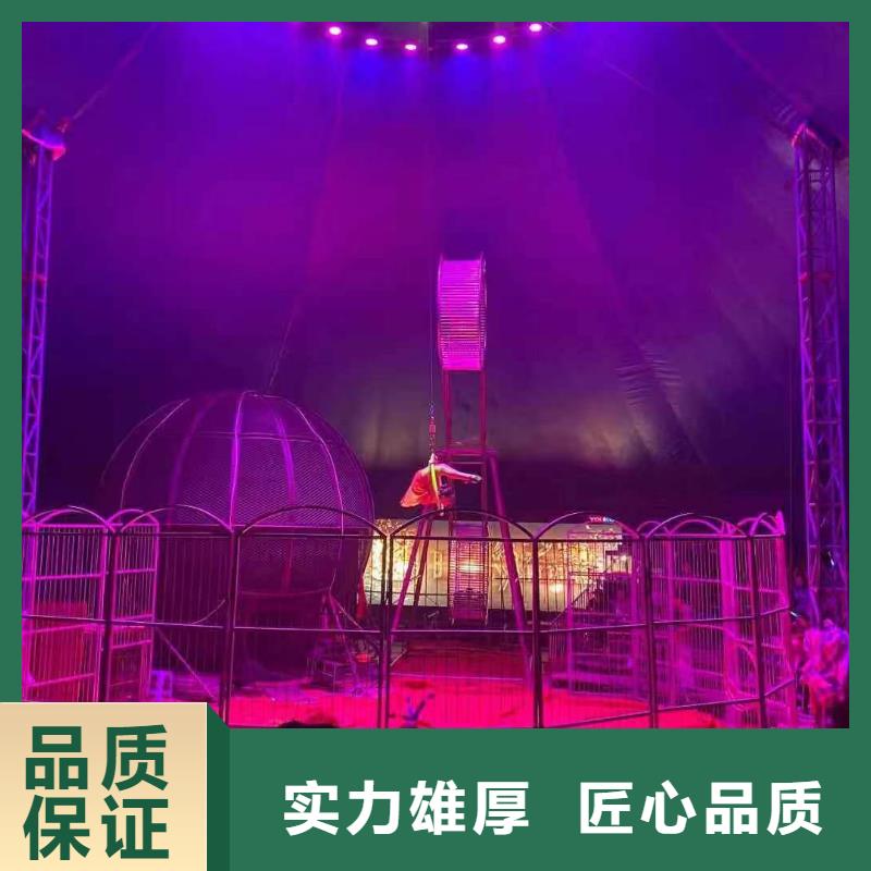 馬戲團/羊駝,出租馬戲表演快速響應