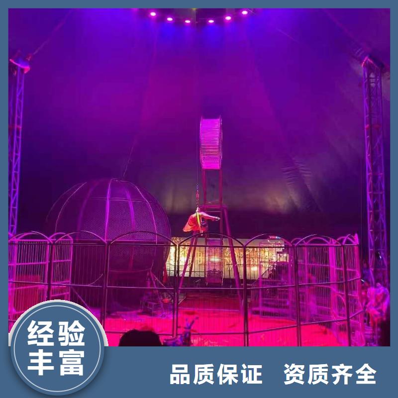 羊駝出租價(jià)格聯(lián)系方式