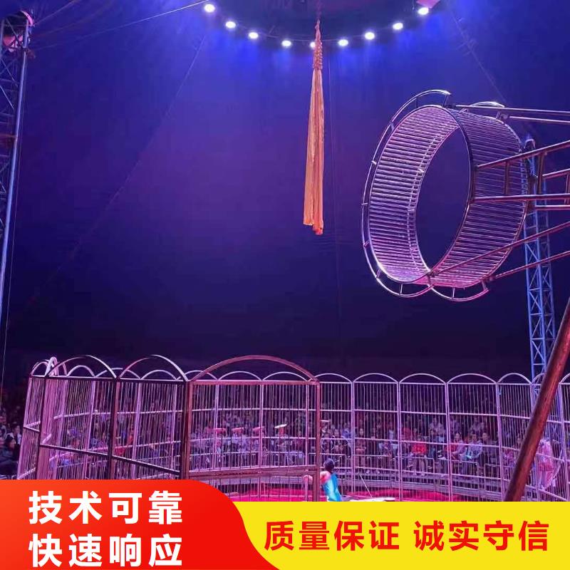 馬戲團/羊駝 馬戲團表演出租租賃服務至上