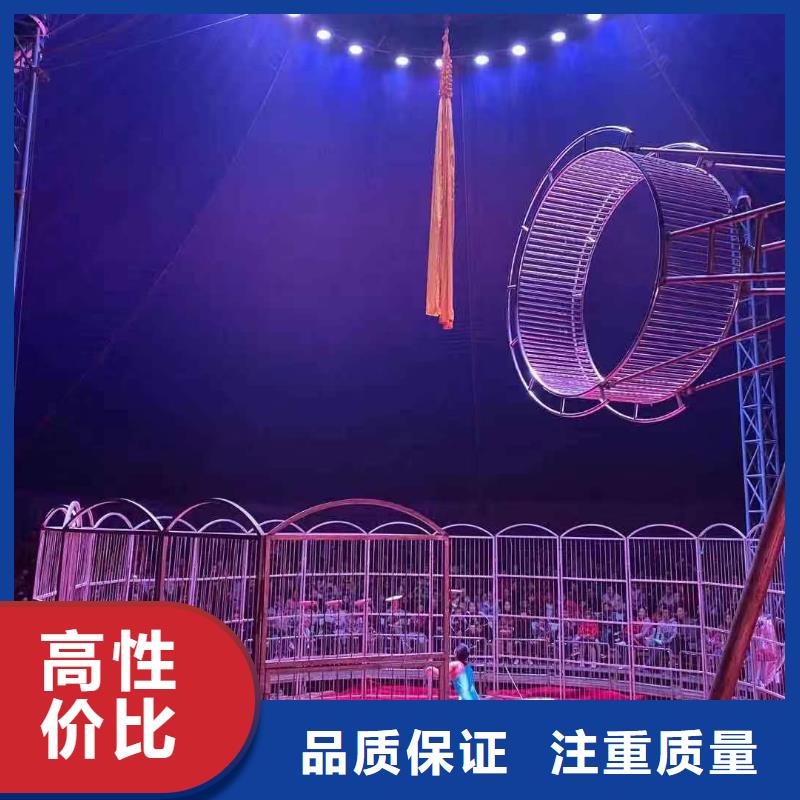 馬戲團表演出租一手資源