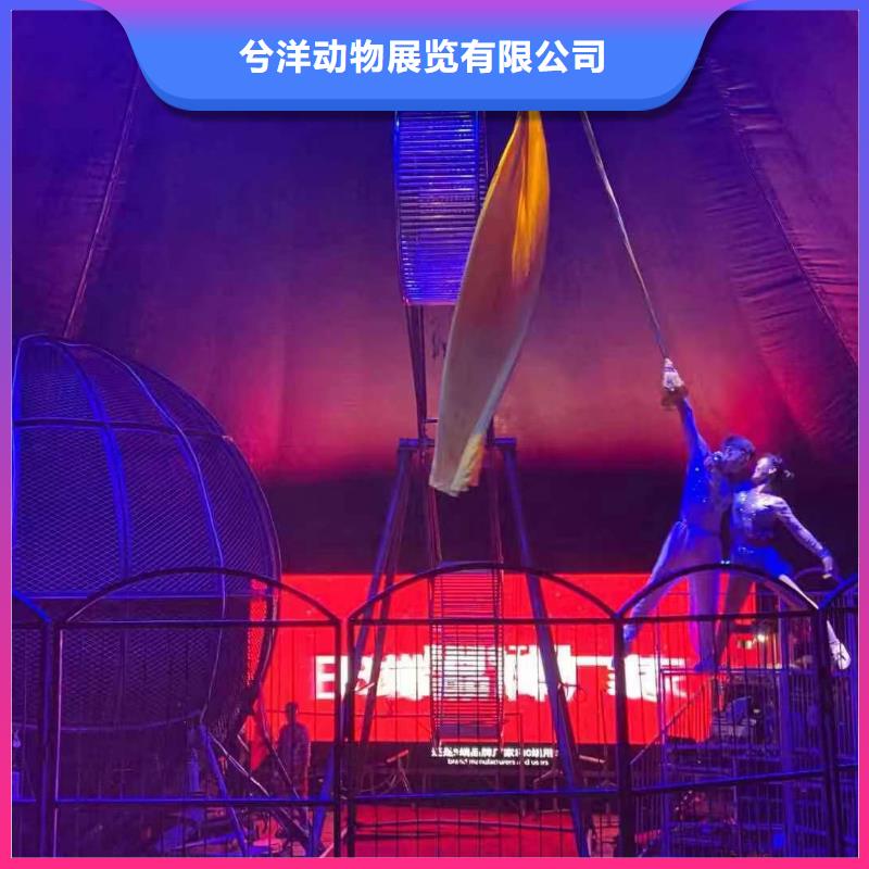 萌寵動物展出租活動慶典