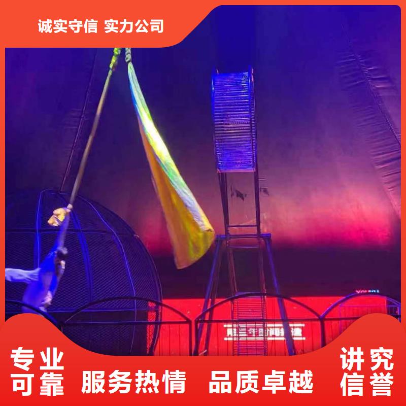 马戏团/羊驼-企鹅租赁技术精湛