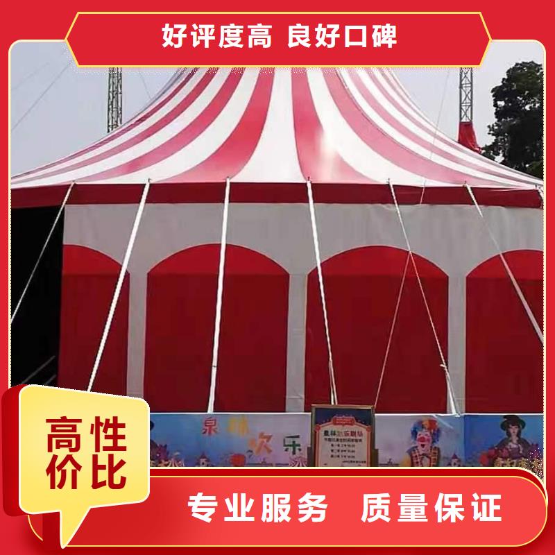 马戏团/羊驼美人鱼表演实力团队
