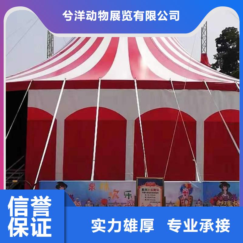 羊駝出租聯系方式