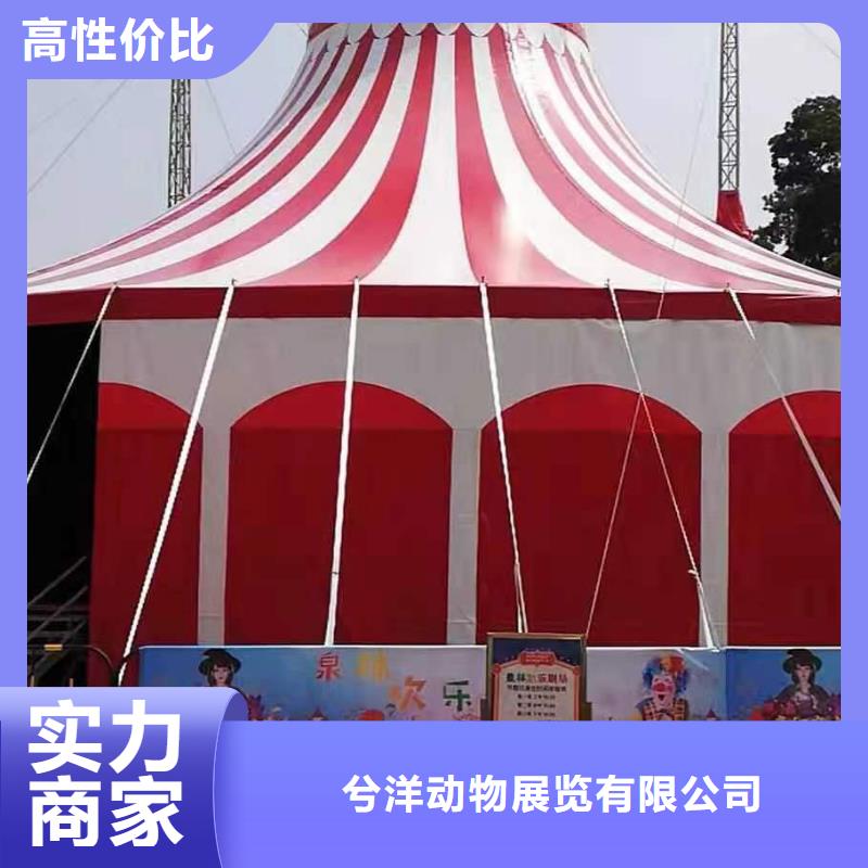 馬戲團/羊駝,美人魚表演靠譜商家