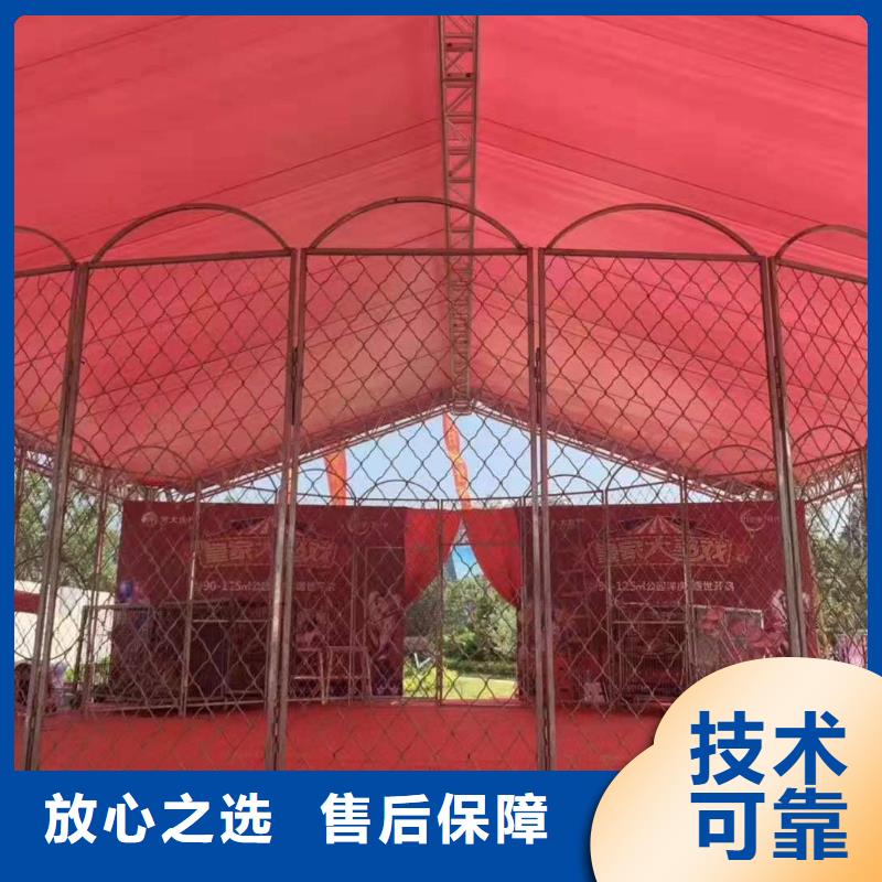 马戏团/羊驼-【马戏团表演出租租赁】先进的技术