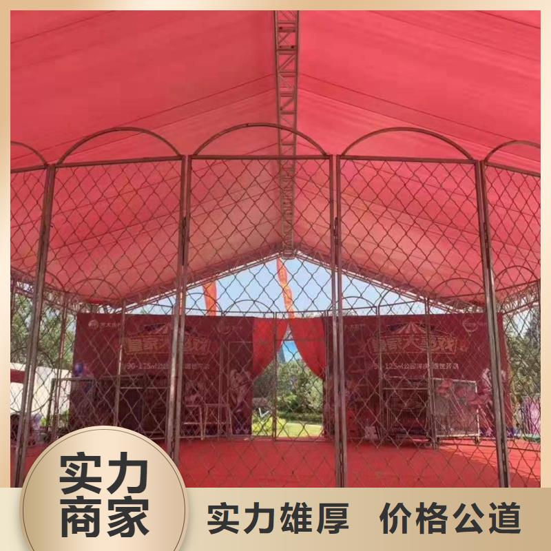 海狮表演出租视频-山东省淄博市|高青|临淄|烟台|莱芜|德州|东营海狮表演出租-兮洋
