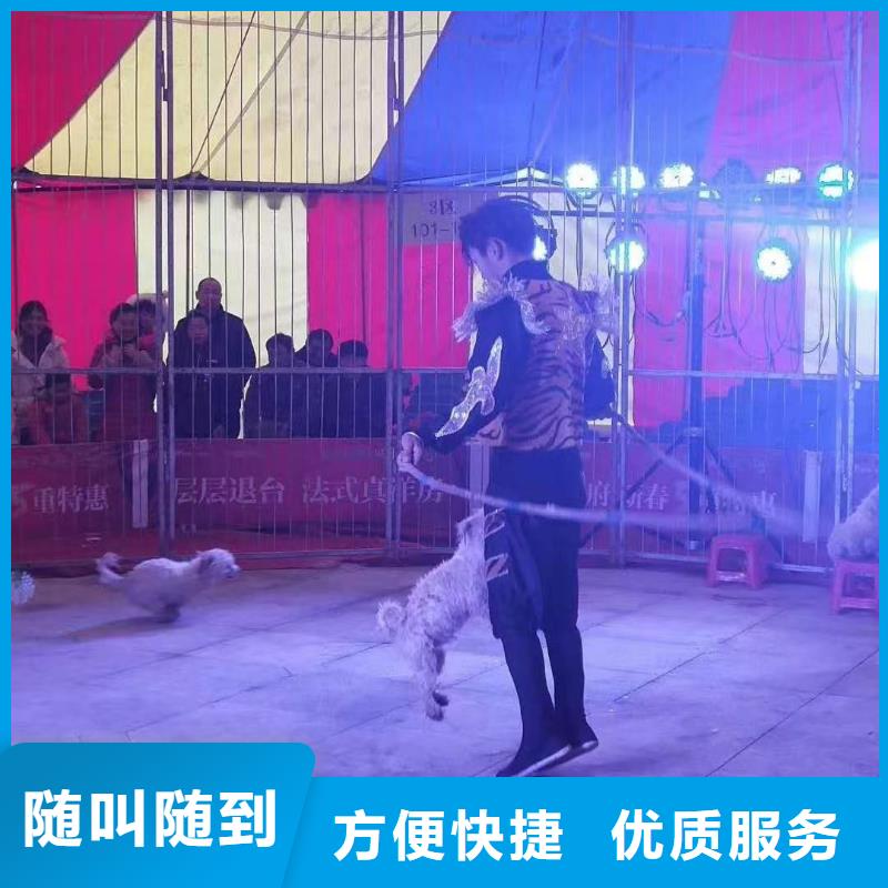 马戏团/羊驼小香猪宠物出租售后保障