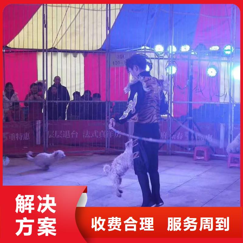 哪有出租馬戲團(tuán)表演的暖場(chǎng)活動(dòng)