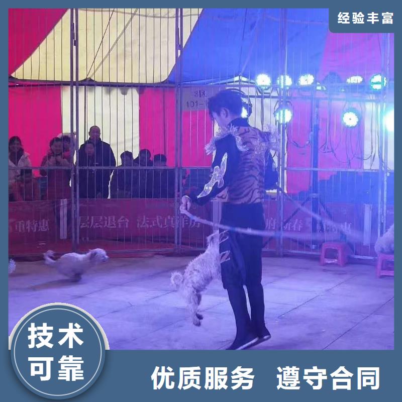 馬戲團(tuán)/羊駝鸚鵡表演出租快速響應(yīng)