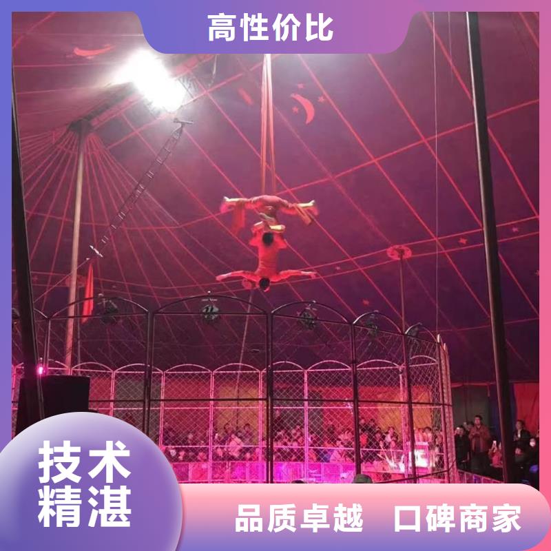 馬戲團表演出租價格活動圖片
