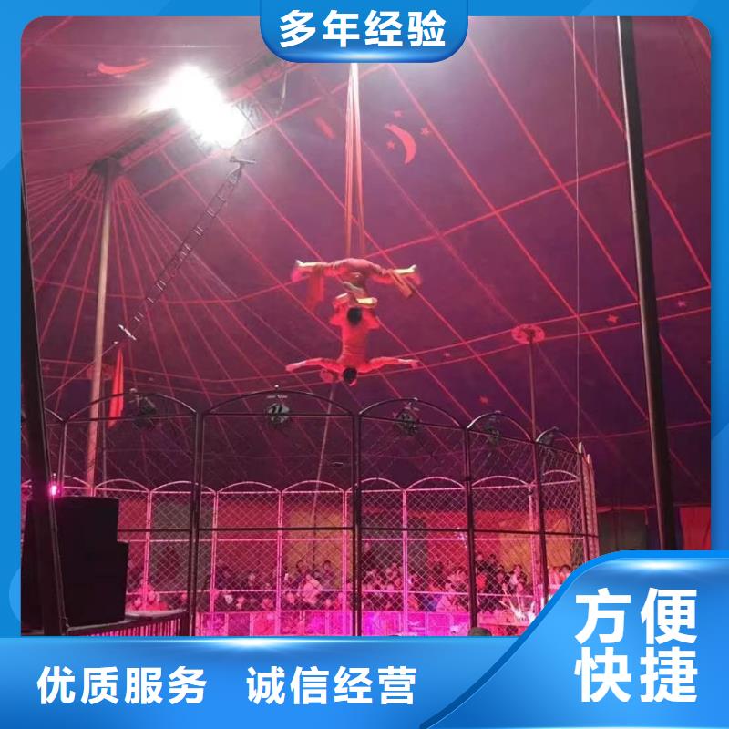萌寵動物展出租活動慶典