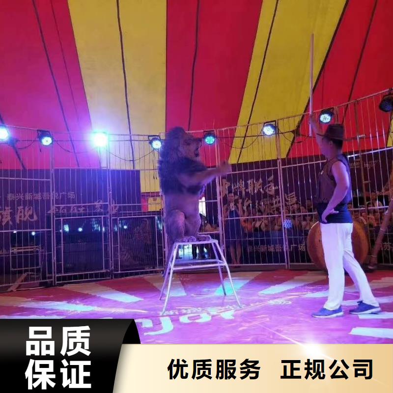 萌寵動物展出租活動慶典