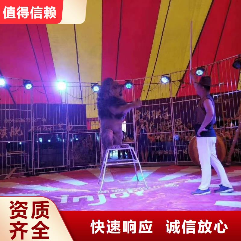 馬戲團(tuán)/羊駝海洋展租賃方便快捷