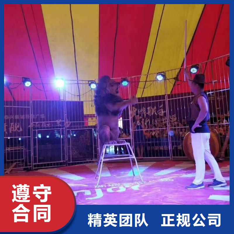 出租馬戲團表演