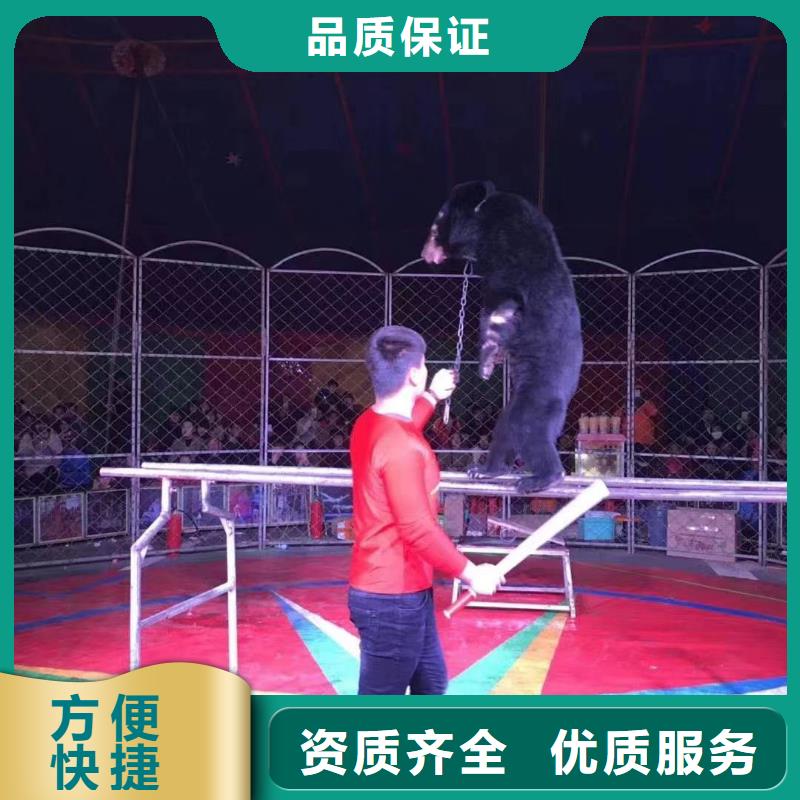 萌寵展出租聯系方式