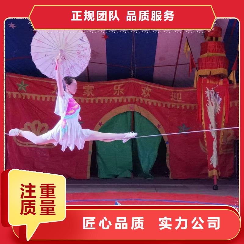 马戏团/羊驼出租表演萌宠放心之选
