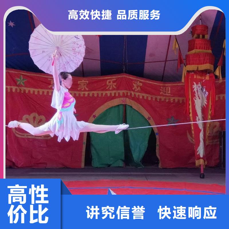 马戏团/羊驼-景区杂技表演口碑公司