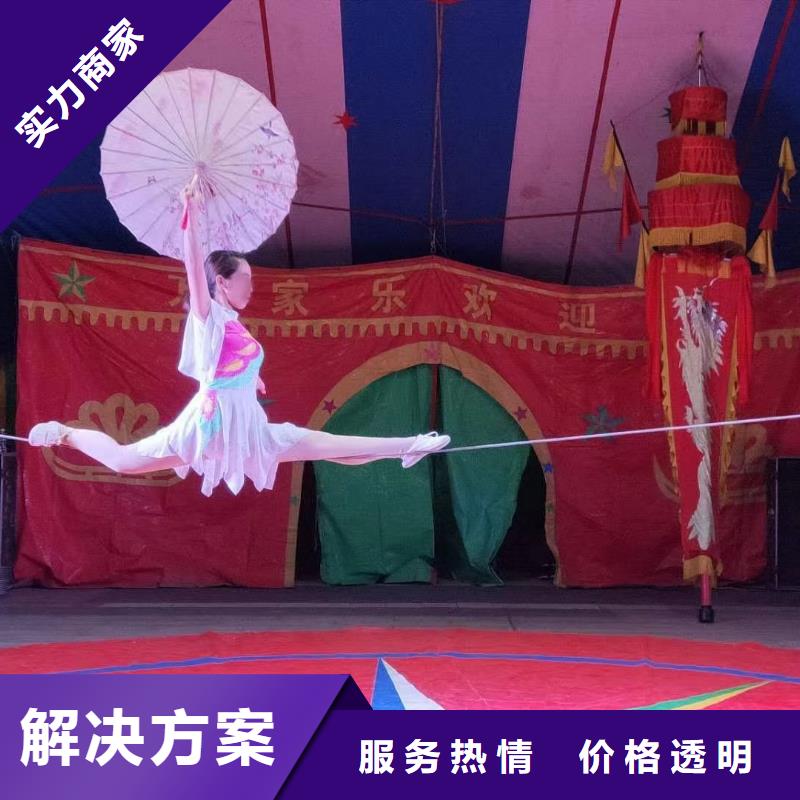 【馬戲團/羊駝,【海獅表演出租】技術可靠】