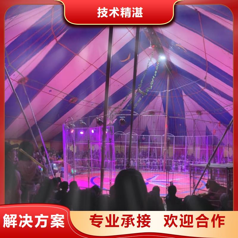 動物表演出租品種多