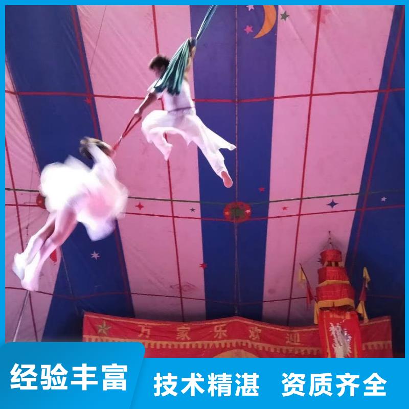 馬戲團/羊駝,美人魚表演靠譜商家