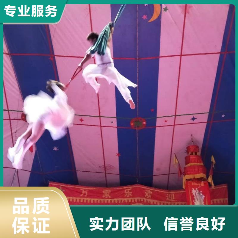 馬戲團/羊駝-景區雜技表演口碑公司