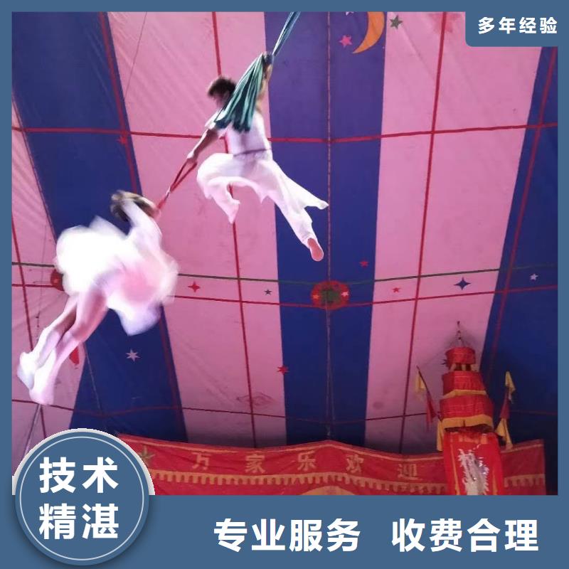 海狮表演出租视频-山东省淄博市|高青|临淄|烟台|莱芜|德州|东营海狮表演出租-兮洋