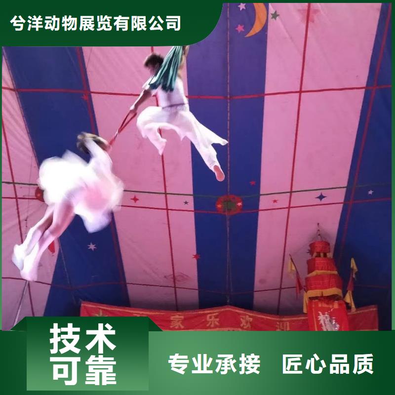 馬戲團(tuán)/羊駝,水族海洋展隨叫隨到