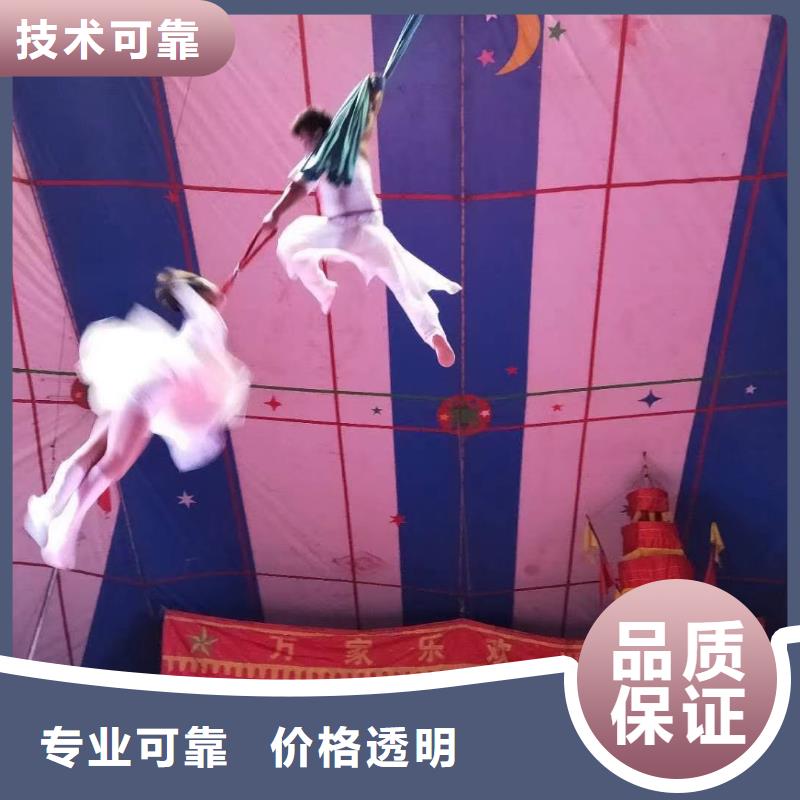【马戏团/羊驼出租马戏团表演实力强有保证】
