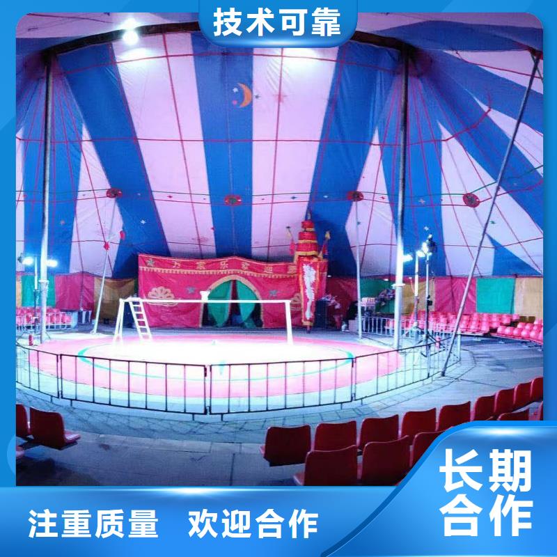 馬戲團(tuán)/羊駝出租表演羊駝專業(yè)服務(wù)