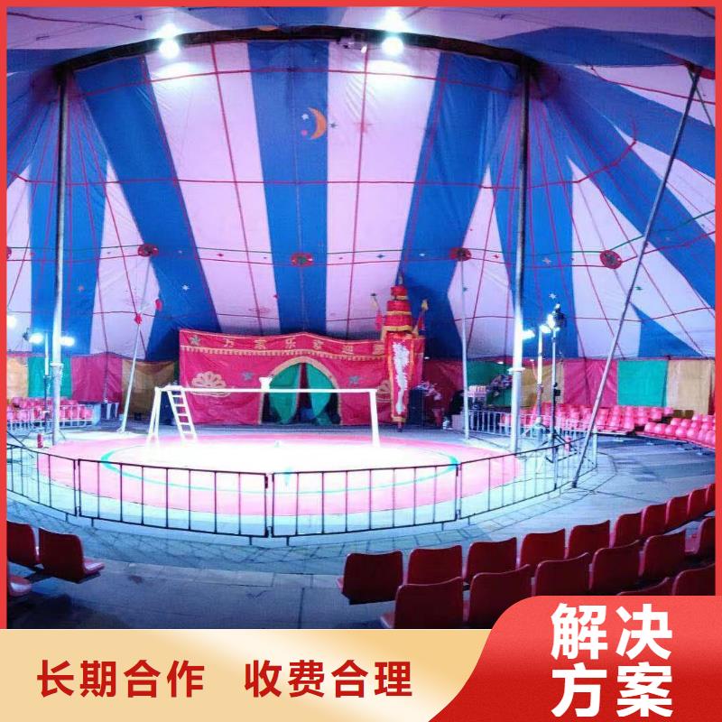 海狮表演出租视频-红河市海狮表演出租-【当地】可服务区域个旧|开远|曲靖|临沧|楚雄|西双版纳|怒江|迪庆