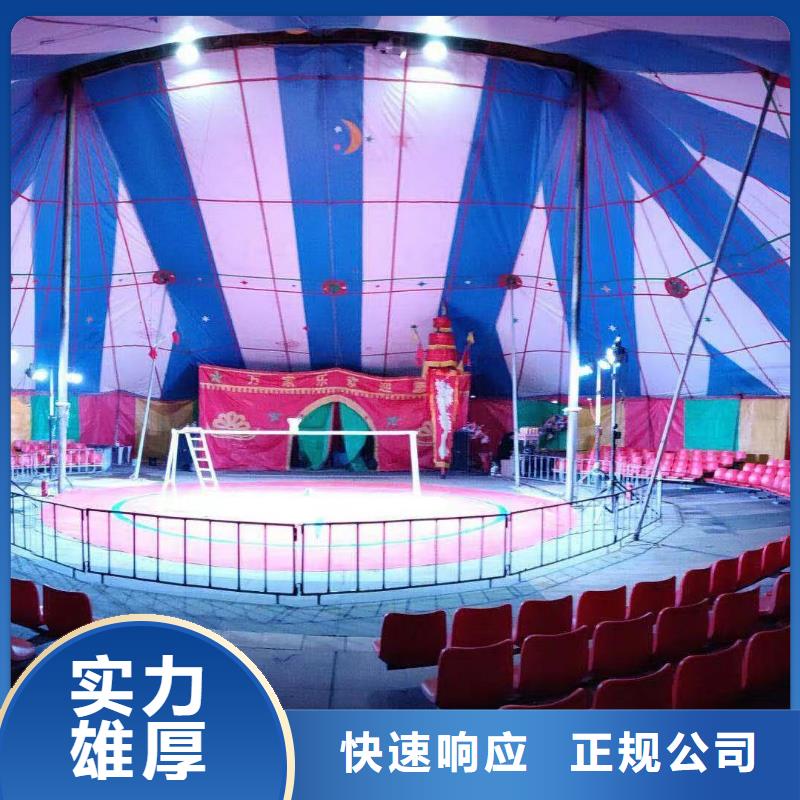 哪有出租鸚鵡表演的實力可靠