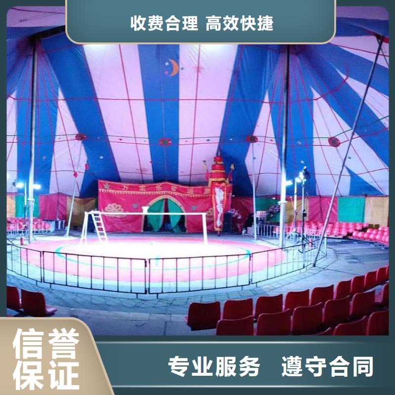 马戏团/羊驼 出租表演企鹅齐全