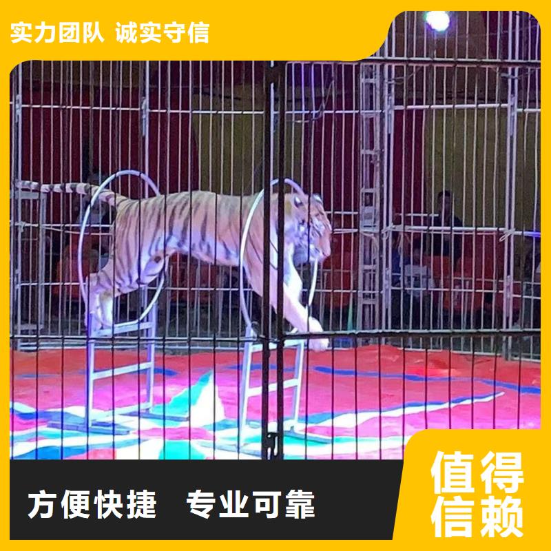 哪有出租動物的一手資源