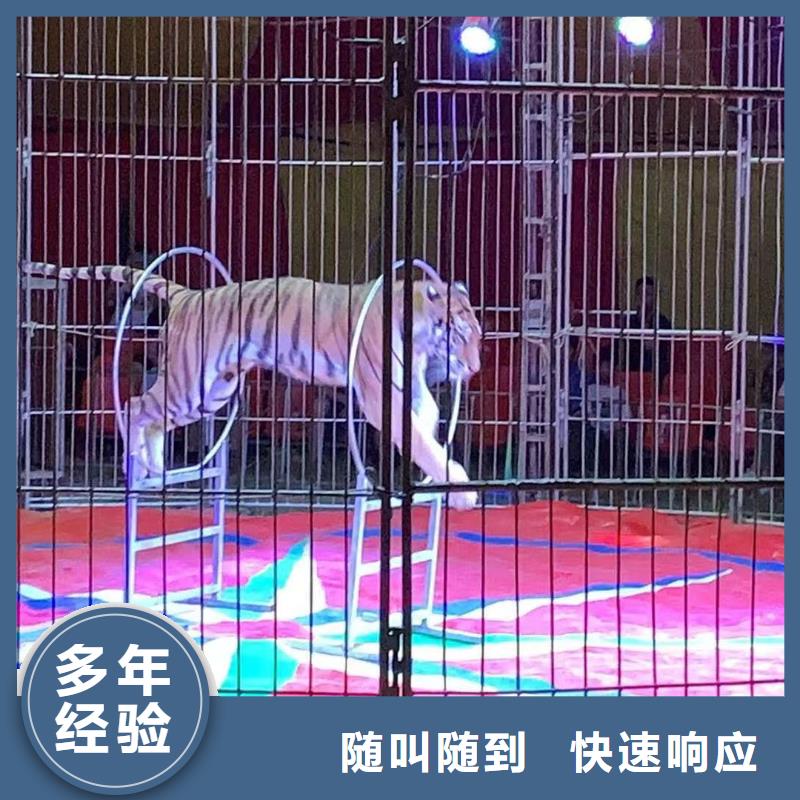附近羊駝出租公司