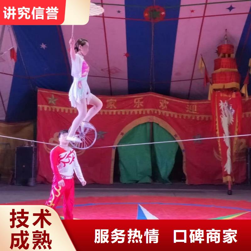 羊駝出售主題展覽
