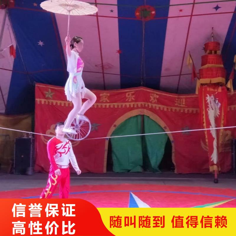 马戏团/羊驼 羊驼表演口碑公司