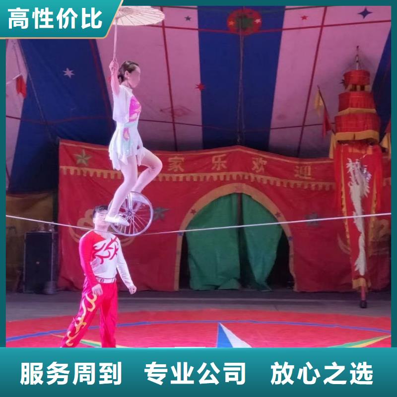 馬戲團/羊駝-景區雜技表演口碑公司