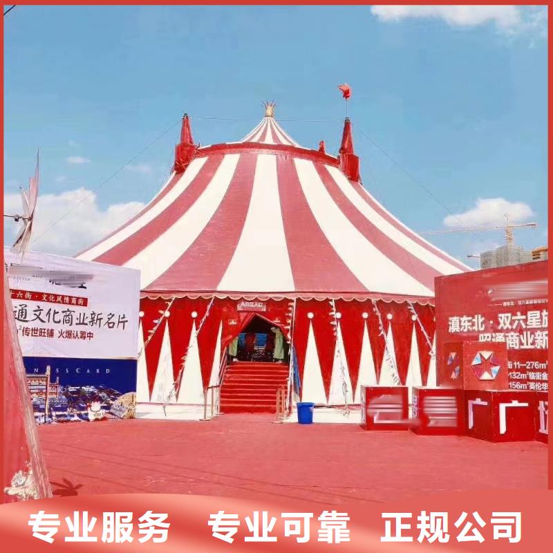 馬戲團羊駝表演出租參數圖文介紹
